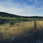 Iledanslile 06