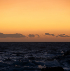 FG1_9233-1