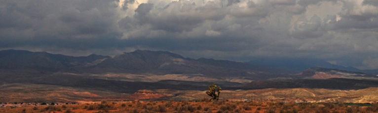 sfondo nevada