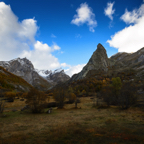 _FG00596-1-5