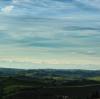 _FG11664-Edit-2-1.jpg