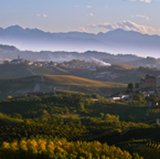 FG1_6427-2.jpg